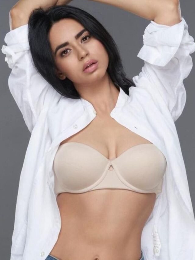 Soundarya Sharma Net Worth 2025